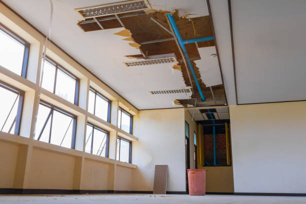 Best Carpet water damage restoration  in Santa Maria, CA