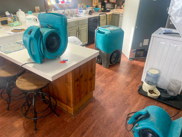 Best Flood damage cleanup  in Santa Maria, CA