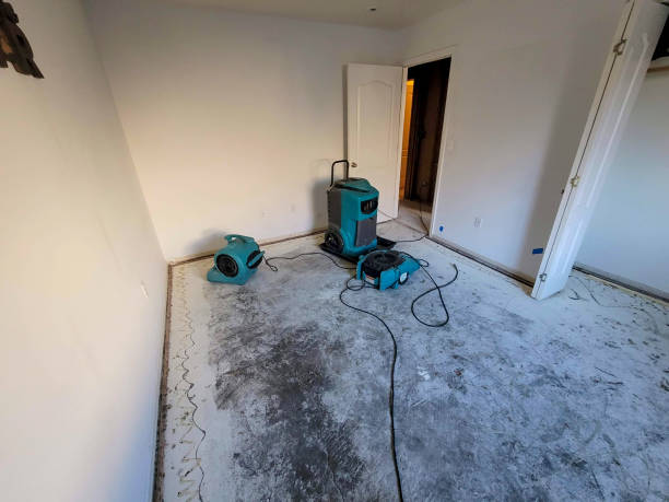 Best Flood restoration services  in Santa Maria, CA