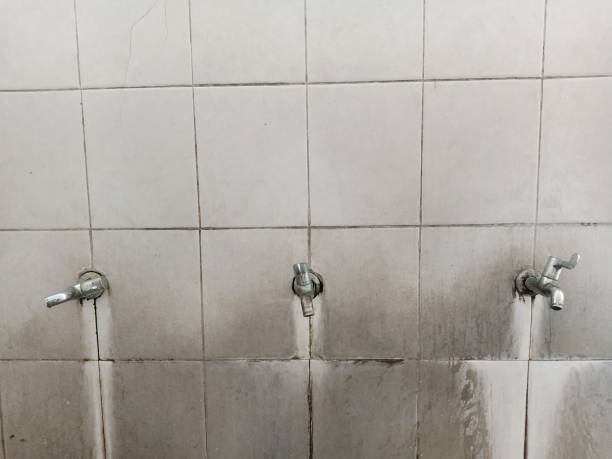 Best Flooded house restoration  in Santa Maria, CA
