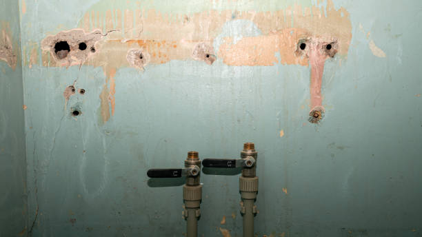 Best Mold removal after water damage  in Santa Maria, CA